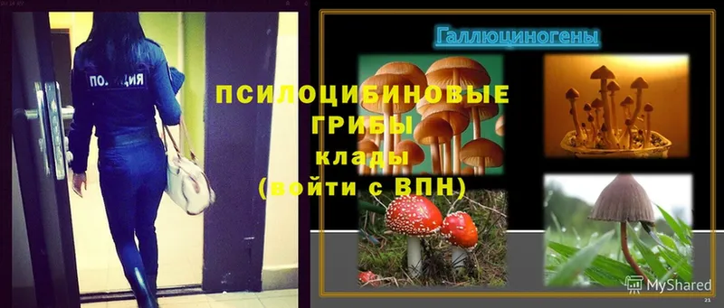 Галлюциногенные грибы Magic Shrooms  Семёнов 